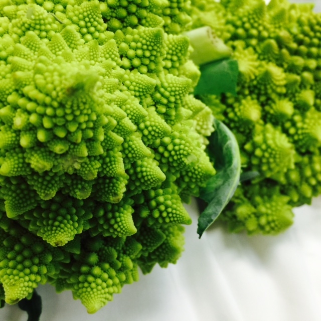 Romanesco-broccoli-1
