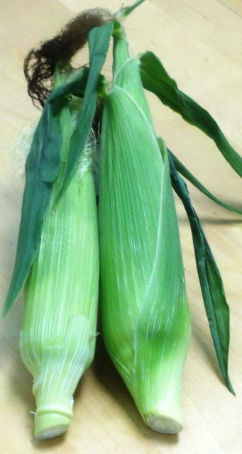 corn-2